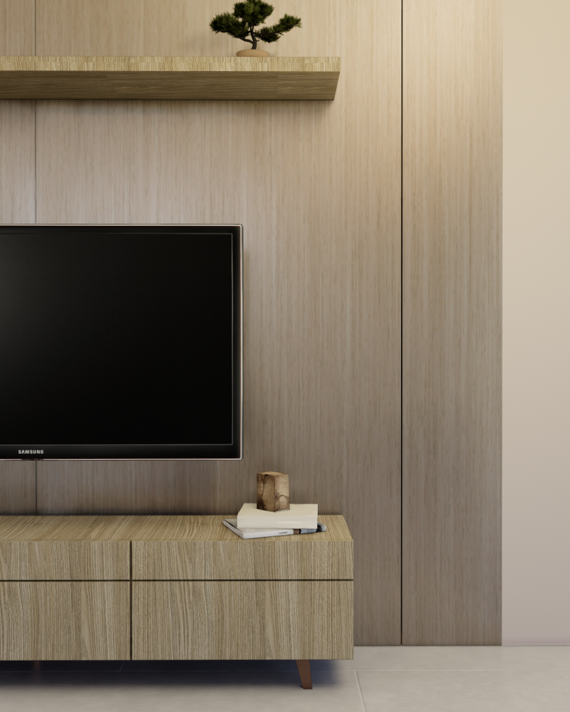 studio edgi tv-2